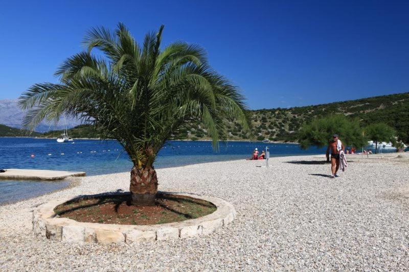 Apartments Gracija Povlja (Brac) Exterior foto